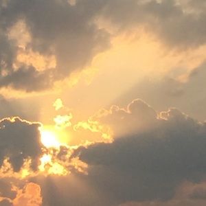 Meet your Posher, Laila